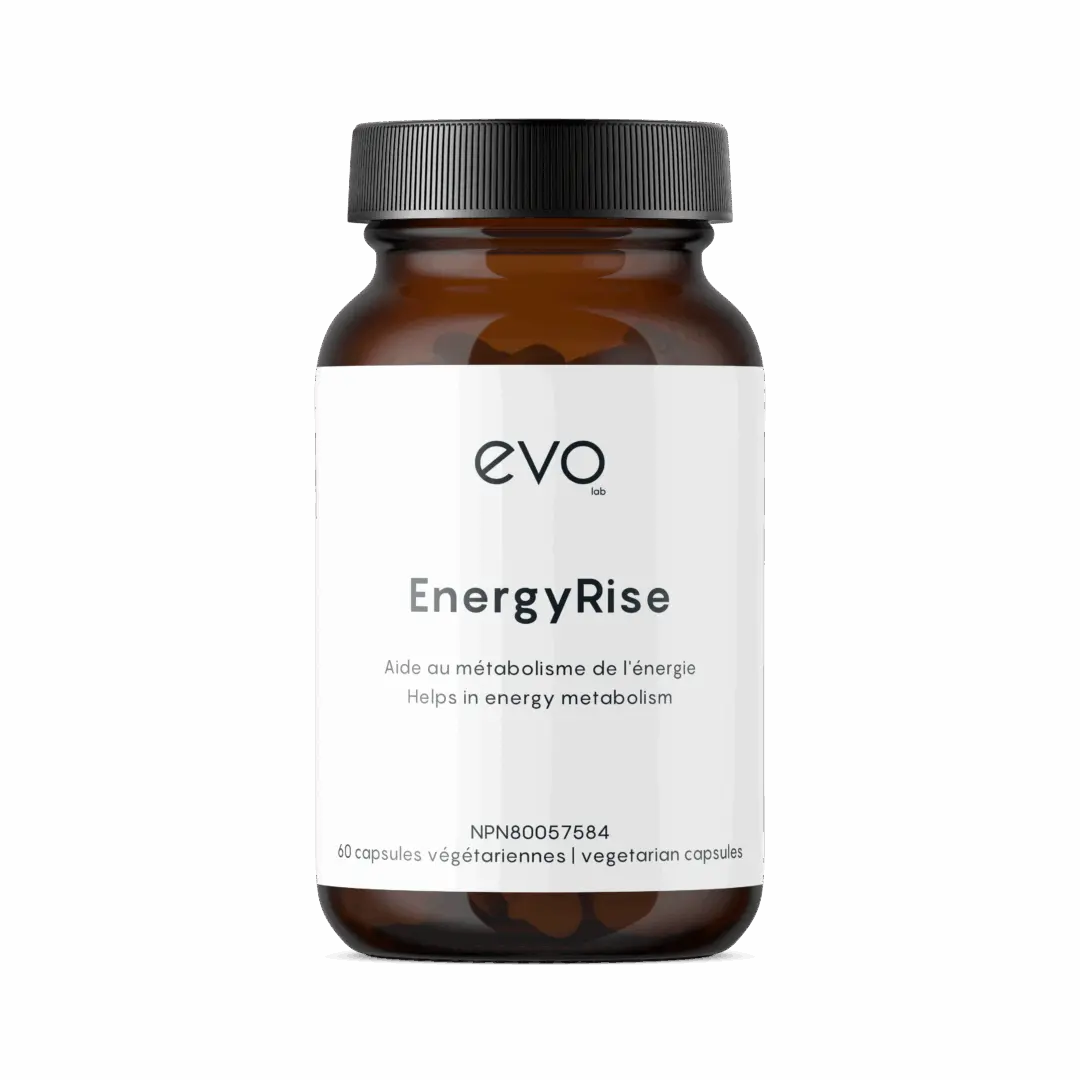 Evo Lab - EnergyRise